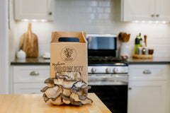 Blue Oyster Grow Kit