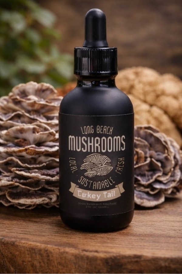 Turkey Tail Tincture