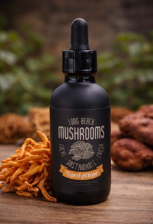 Cordyceps Tincture
