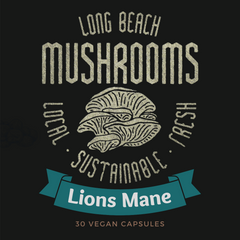 Lion's Mane Tincture